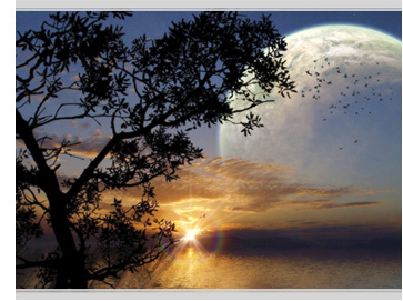 Viewing Another World